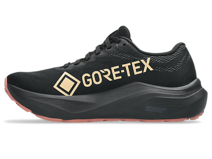 Shop (W) ASICS GT-2000 14 GTX Sepatu Lari Hitam/Misty Pine 1012B844-002