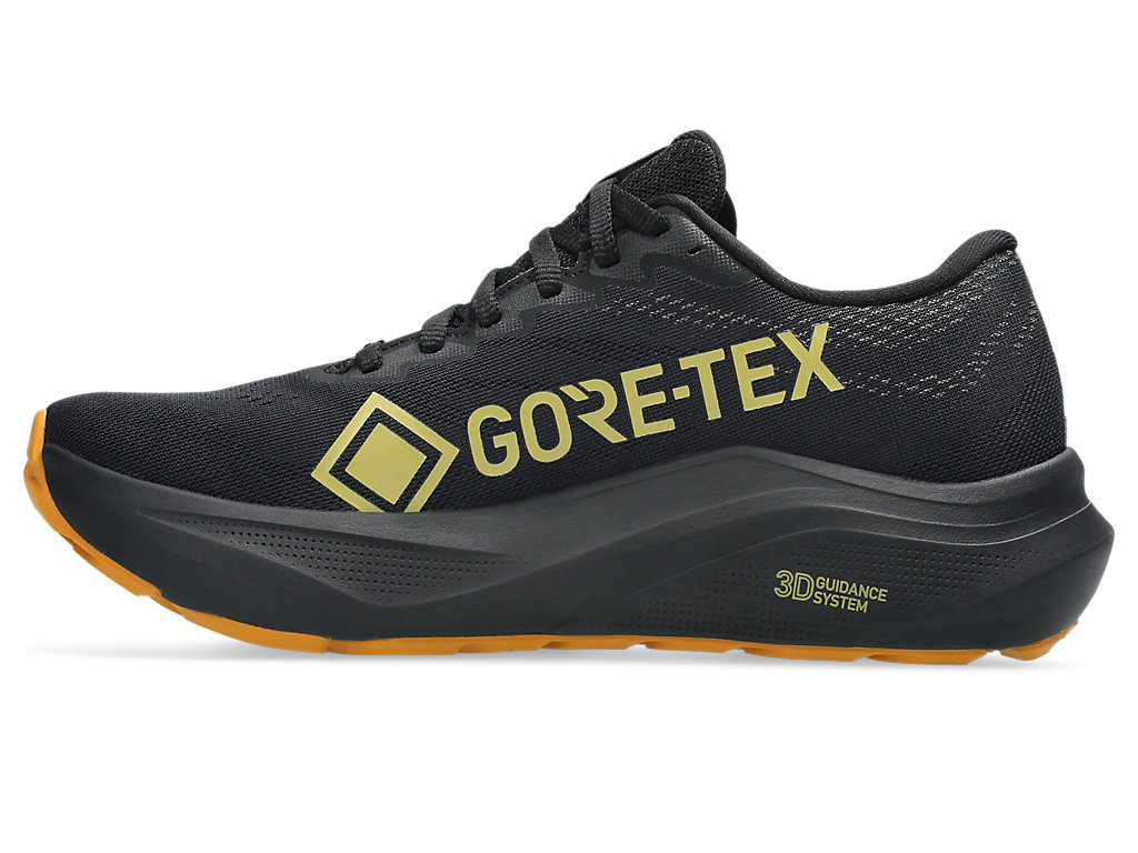 Purchase (W) ASICS GT-2000 14 GTX 跑鞋 黑色/香草色 1012B844-001