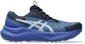 Buy (W) Asics GT-2000 14 LITE-SHOW Sepatu Lari Reflective Lite Show/Dark Cobalt 1012B901-400