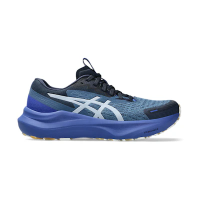 (W) Asics GT-2000 14 LITE-SHOW RF Running Shoes Lite Show/Dark Cobalt