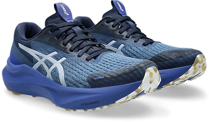 (W) Asics GT-2000 14 LITE-SHOW Sepatu Lari Reflective Lite Show/Dark Cobalt 1012B901-400 Order (W) Asics GT-2000 14 LITE-SHOW Sepatu Lari Reflective Lite Show/Dark Cobalt 1012B901-400