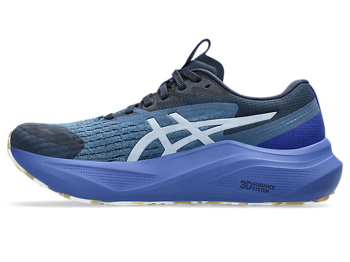 Shop (W) Asics GT-2000 14 LITE-SHOW Sepatu Lari Reflective Lite Show/Dark Cobalt 1012B901-400