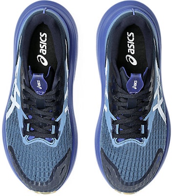 (W) Asics GT-2000 14 LITE-SHOW Sepatu Lari Reflective Lite Show/Dark Cobalt 1012B901-400 Details for (W) Asics GT-2000 14 LITE-SHOW Sepatu Lari Reflective Lite Show/Dark Cobalt 1012B901-400