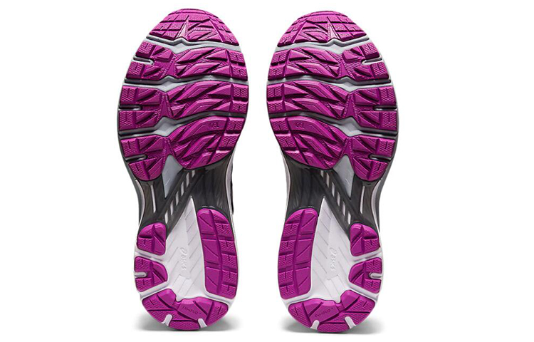 Details for (W) ASICS GT 2000 9 Gore-Tex ''Noir Raisin Digital'' 1012A866-001