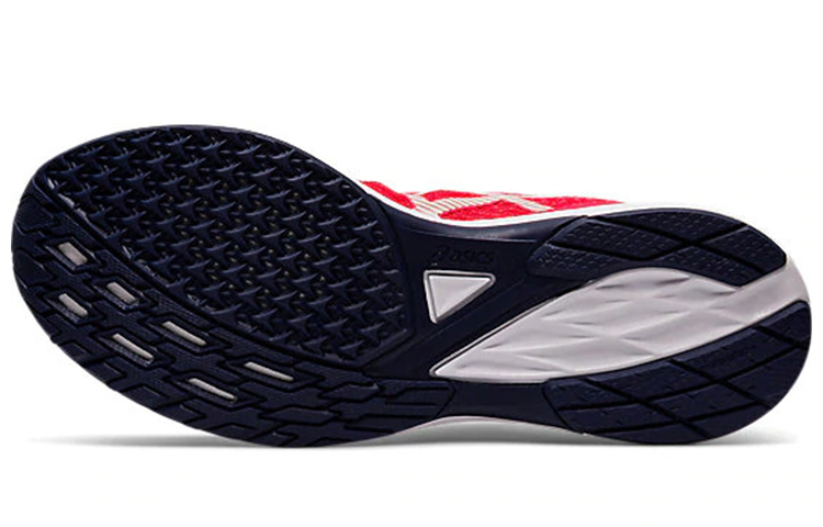 Details for (W) ASICS Lyteracer 2 "迪瓦粉" 1012A581-700