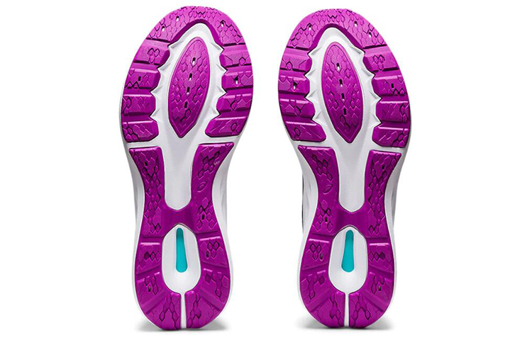 Purchase (W) ASICS Roadblast '黑兰花' 跑鞋 1012A700-002