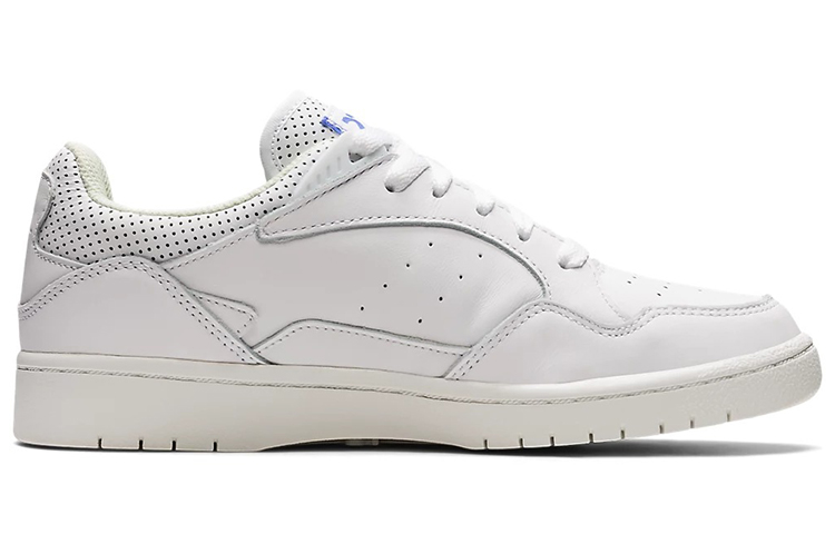 Order (W) アシックス スカイコート "サファイアブルー" (Ashikkusu Sukaikōto "Safaia Burū") 1202A245-101