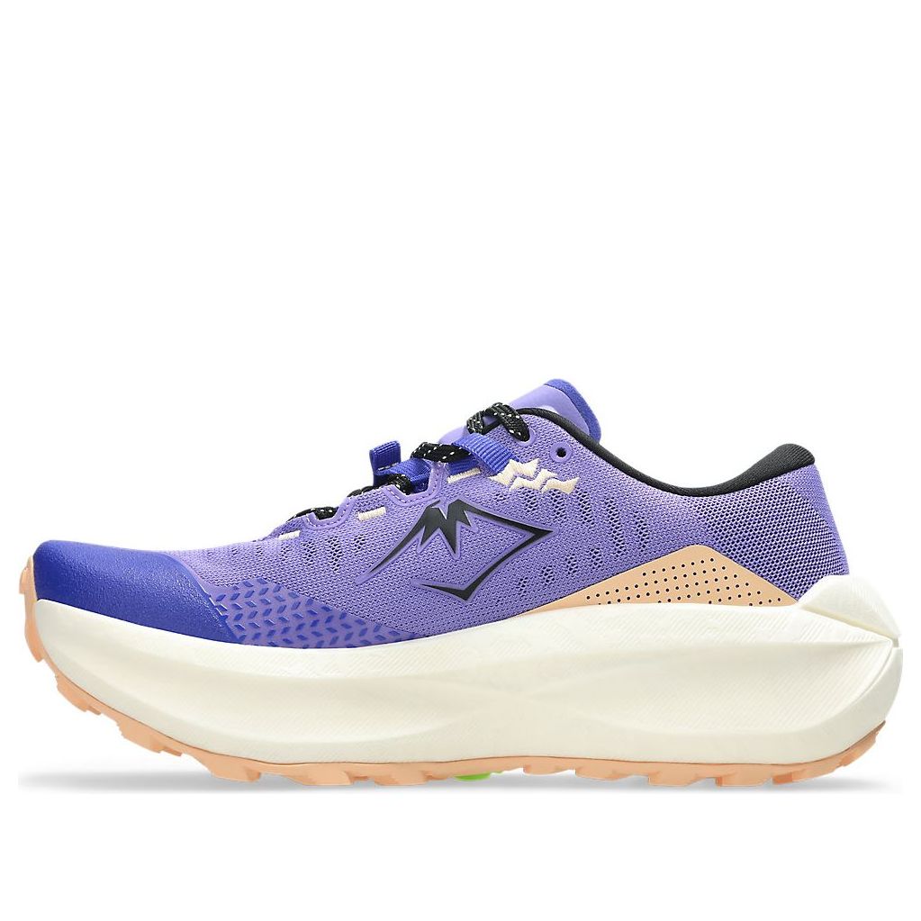 Order (Women) ASICS Trabuco Max 5 'Amethyst Black' 1012B937-500