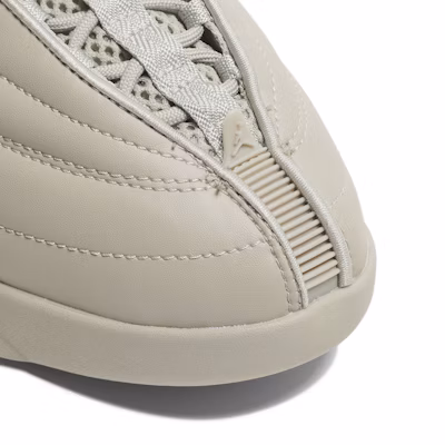 (Women) Billie Eilish x Air Jordan 15 Retro DN2863-200 2