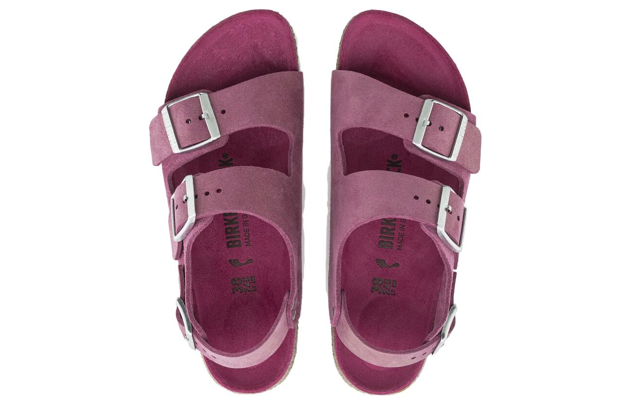 Shop (Women) Birkenstock Soft Footbed Suede 'Purple Red Buckle' 1024245