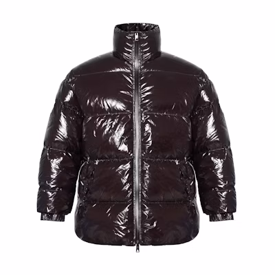 (Women) Bottega Veneta Brown Shiny Hooded Down Coat Winter Collection 659724V0Y302184