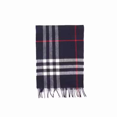 (Women) Burberry Blue Check Print Cashmere Wool Scarf. 8076582X