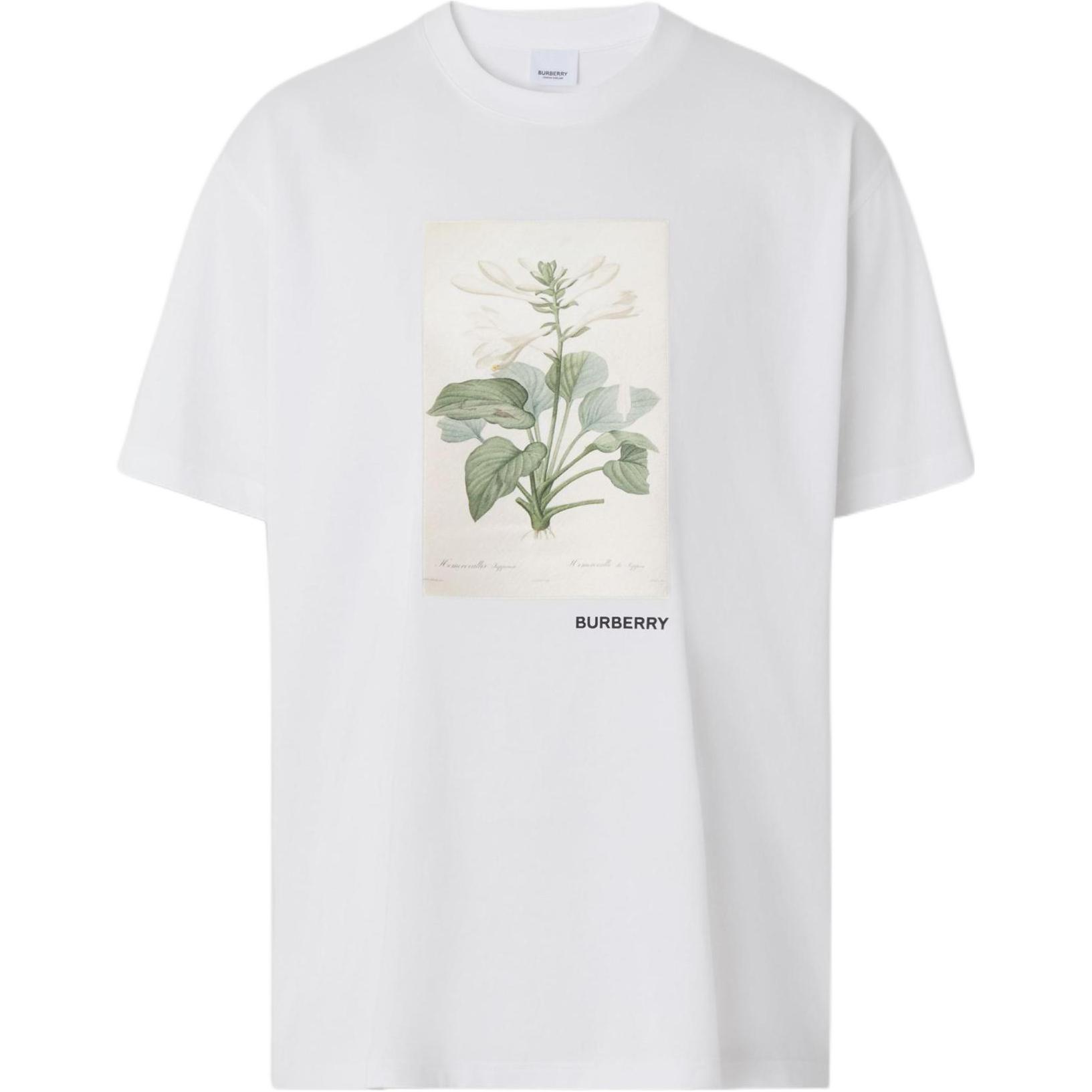 (Women) Burberry  Botanical Print Cotton Oversized Short Sleeve T-Shirt. 80565811