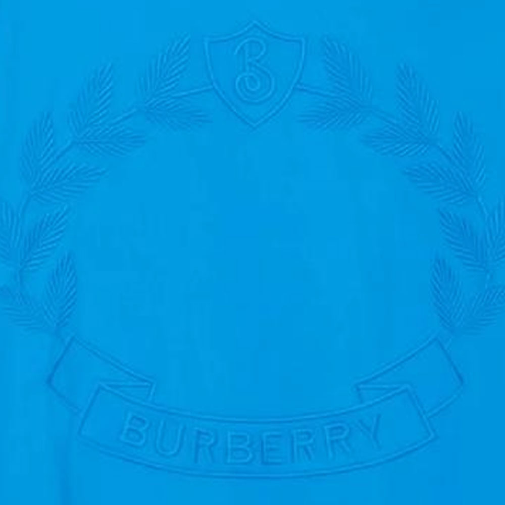 (Women) Burberry  Embroidered Logo Oversized Crewneck Short Sleeve T-Shirt. 80657691 圖 6