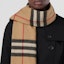 Lookbook (W) BURBERRY 時尚經典格紋羊毛圍巾 - 棕色 80649161