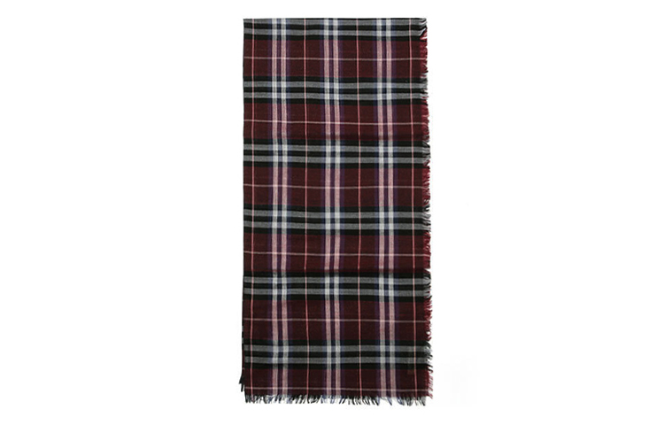 Lookbook (Women) Burberry Check Scarf in Burgundy 4060992