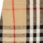 Sizing (Women) Burberry Checked Mini Casual Skirt for Women in Beige. 80723251