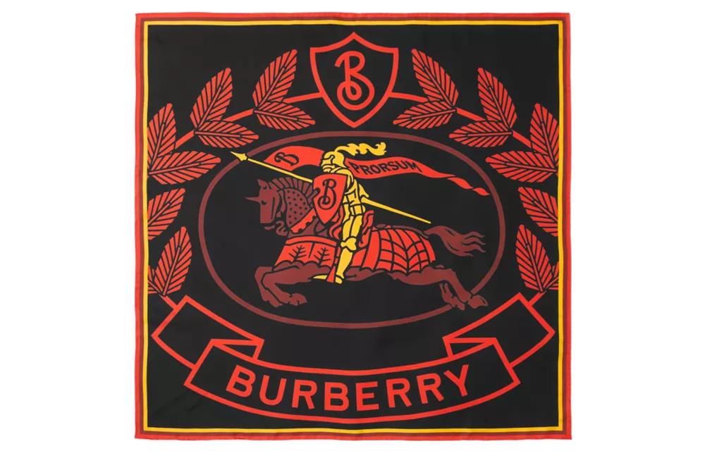 (Women) Burberry Fashionable Minimalist Trendy Scarf 80611401