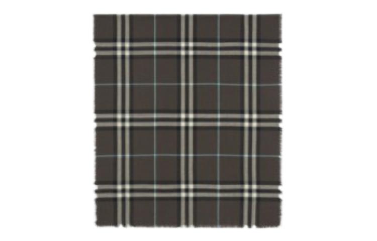 (Women) Burberry Fringe Trim Scarf Grey for Women 80776781