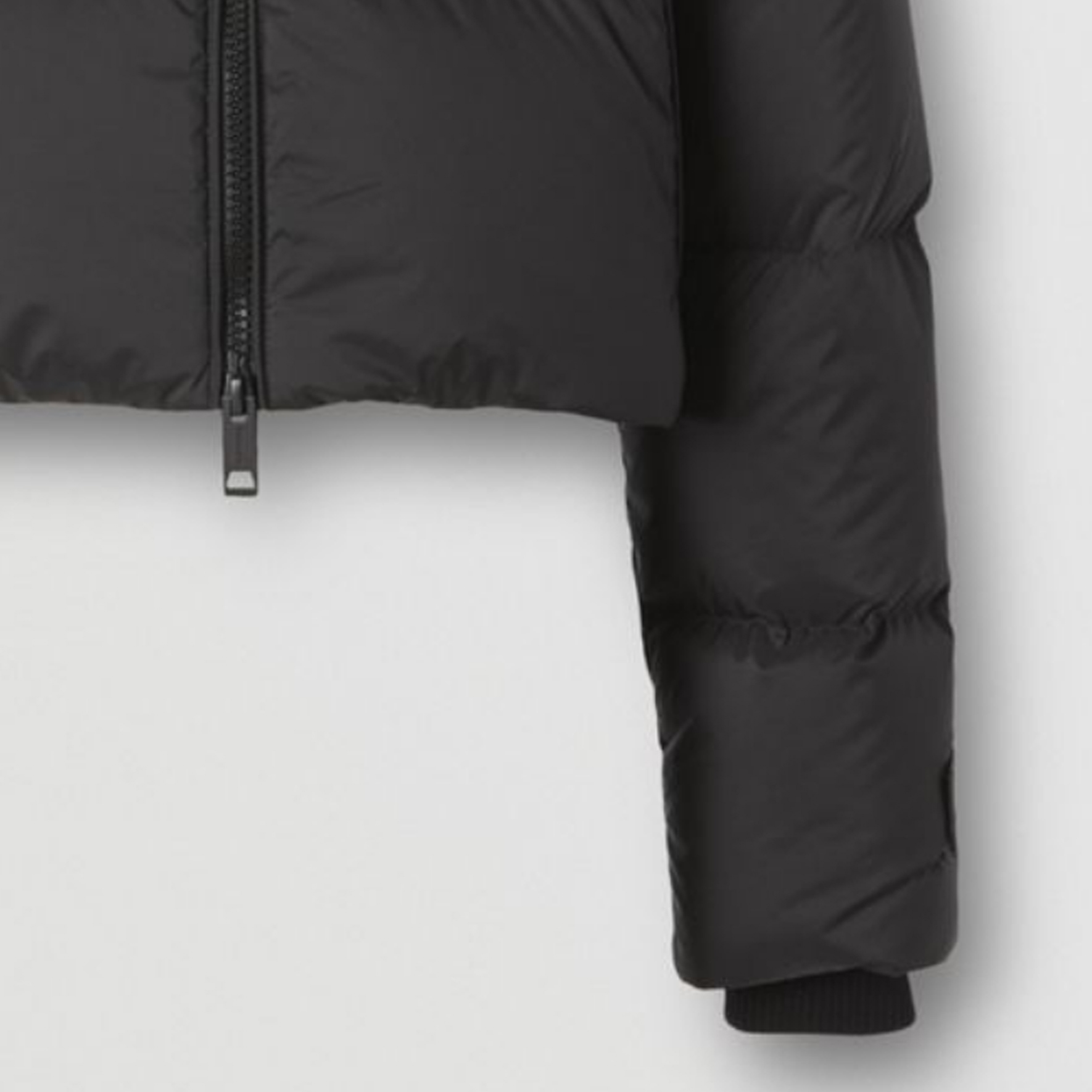 Details for (W) Burberry FW22 黑色高領拉鍊短版羽絨外套. 80447301