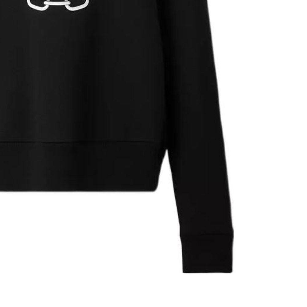 Purchase (W) バーバリー FW22 チェーンレタープリント クルーネックセーター レディース ブラック 80632391