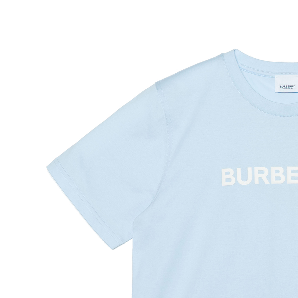 (Women) Burberry FW22 Logo Print Crewneck Oversized Blue T-Shirt for Women. 80635811 圖 8