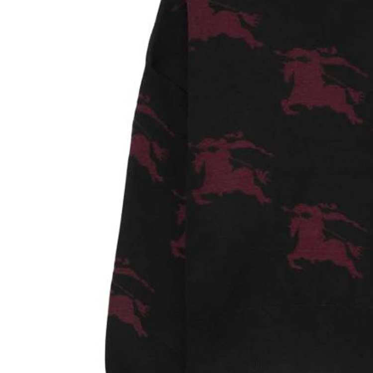 Details for (Women) Burberry FW23  Black Printed Crewneck Knit Long Sleeve Sweater 80718601