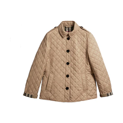 (Women) Burberry Khaki Single-Breasted Jacket 80213621