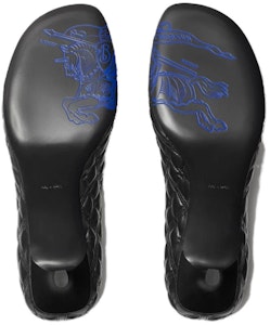 博柏利 皮革 時尚百搭 細跟 高跟鞋 5cm 女款 黑色 Details for 博柏利 皮革 時尚百搭 細跟 高跟鞋 5cm 女款 黑色