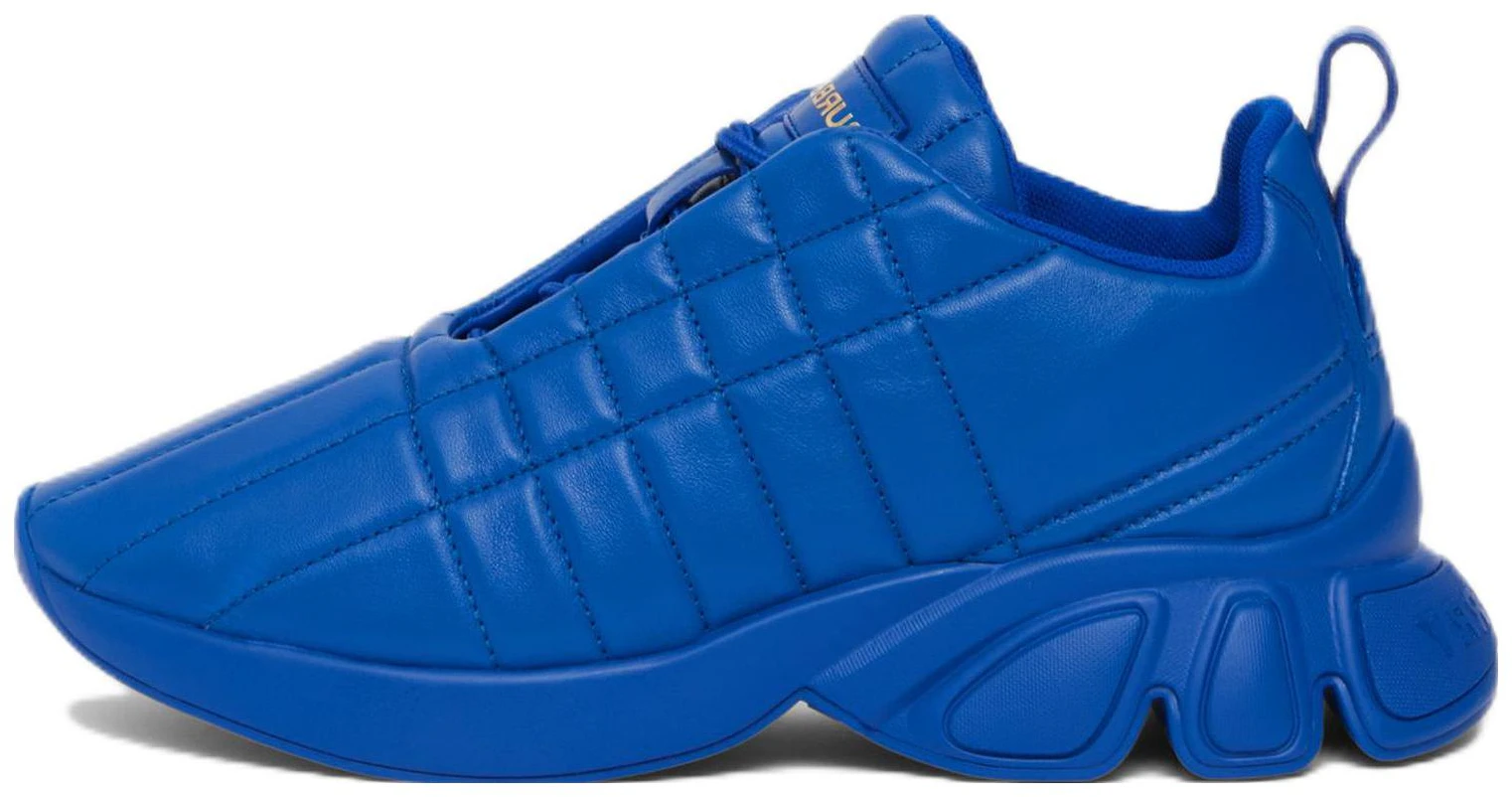 women-burberry-leather-low-blue-fashion-casual-80602201