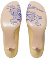 Purchase (W) Burberry Stiletto Kulit Hujung Bulat 'Kuning' 80804301