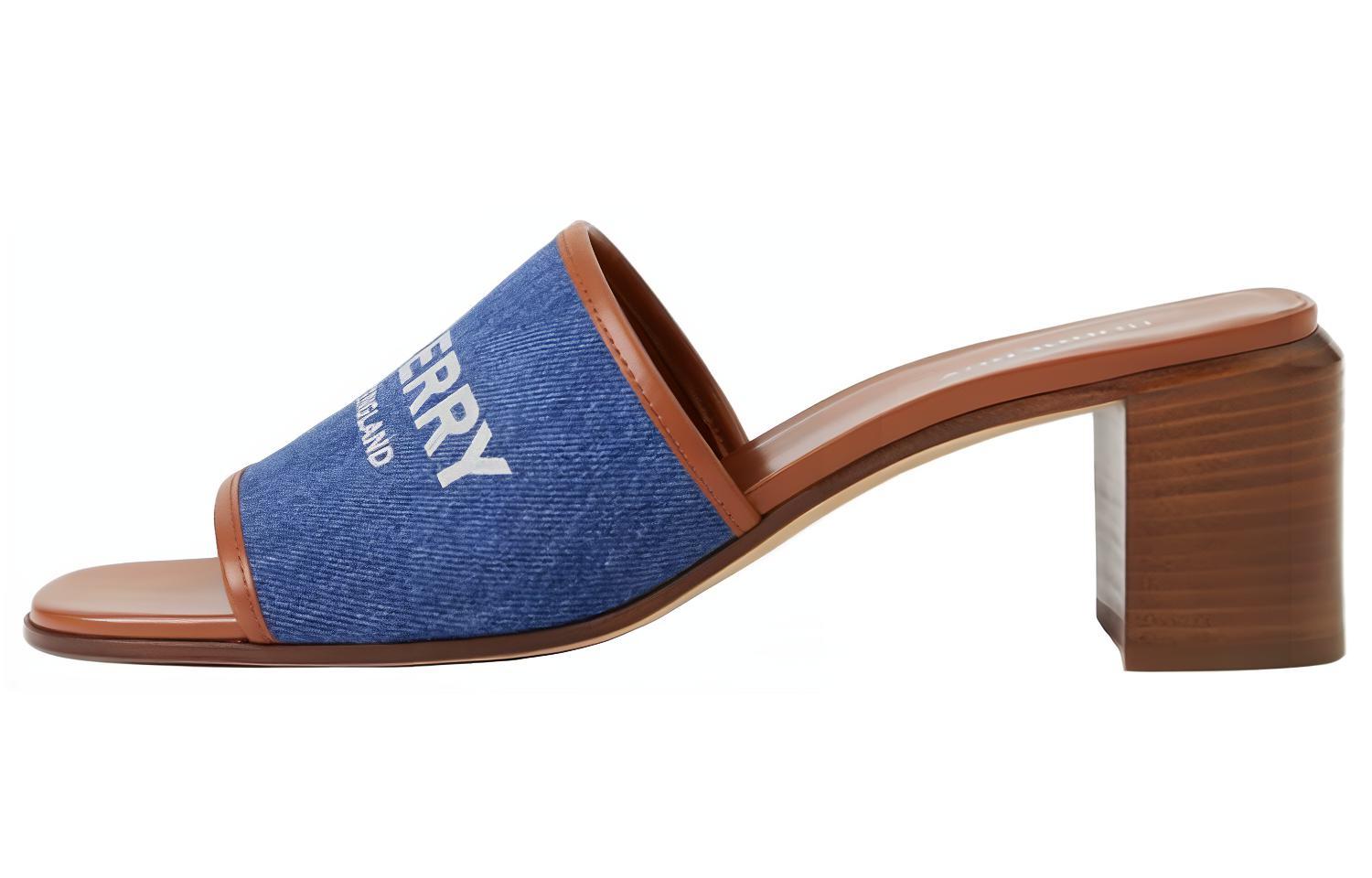 (W) Burberry Logo Chunky 'Blue Fashion Slide'