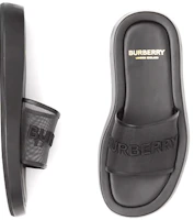 Lookbook (W) Burberry Mule de Cuero y Malla con Logo Bordado 'Negro' 80392501
