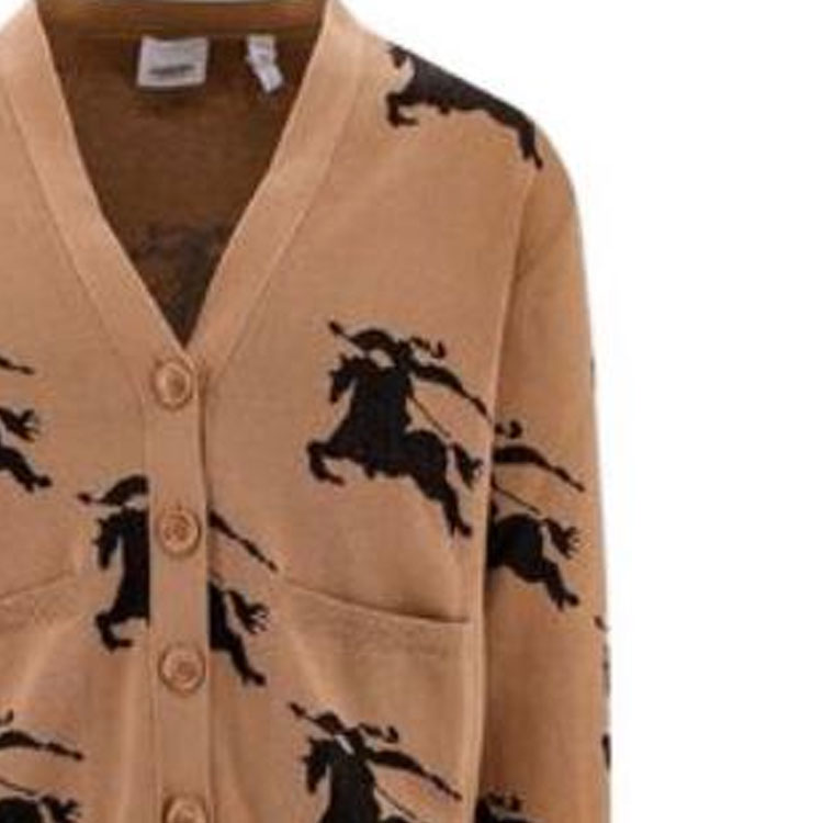 Purchase (Women) Burberry SS23 Patterned V-Neck Long Sleeve Sweater Brown . 8070328