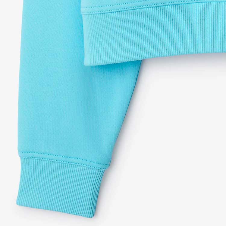 Details for (W) バーバリー SS24 ロゴ刺繍 クルーネック スウェットシャツ ライトブルートパーズ. 80847761