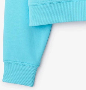 (W) バーバリー SS24 ロゴ刺繍 クルーネック スウェットシャツ ライトブルートパーズ. 80847761 Details for (W) バーバリー SS24 ロゴ刺繍 クルーネック スウェットシャツ ライトブルートパーズ. 80847761