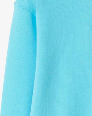 (Women) Burberry SS24 Logo Embroidered Crewneck Sweatshirt Light Blue Topaz. 80847761 Sizing (Women) Burberry SS24 Logo Embroidered Crewneck Sweatshirt Light Blue Topaz. 80847761