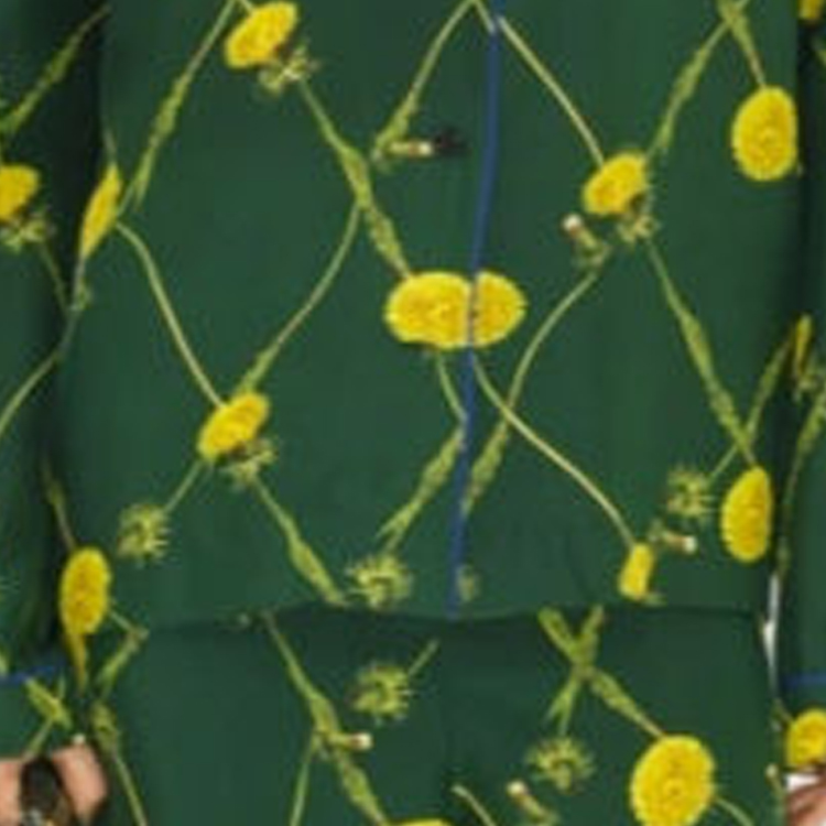 (Women) Burberry SS24 Dandelion Print Cuban Collar Long Sleeve Shirt Women Green 80829881 圖 8
