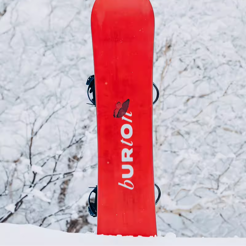 (Women) BURTON Talent Scout Camber  Snowboard Pink Butterfly High Flex & Stability 132181 圖 4