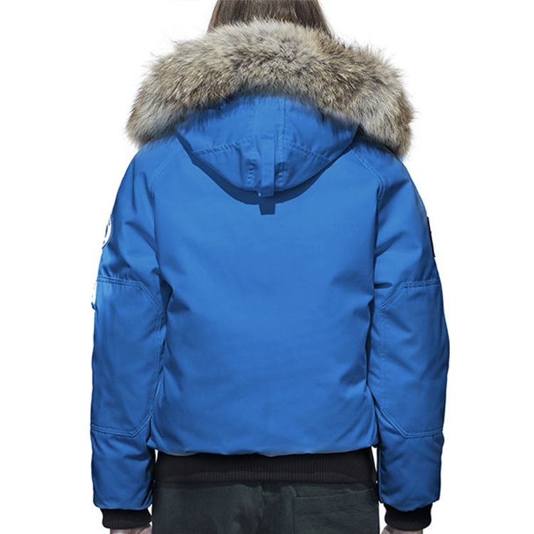 Shop (W) Jaket Musim Dingin Canada Goose Chilliwack Bomber Biru Down 7950LPB-64
