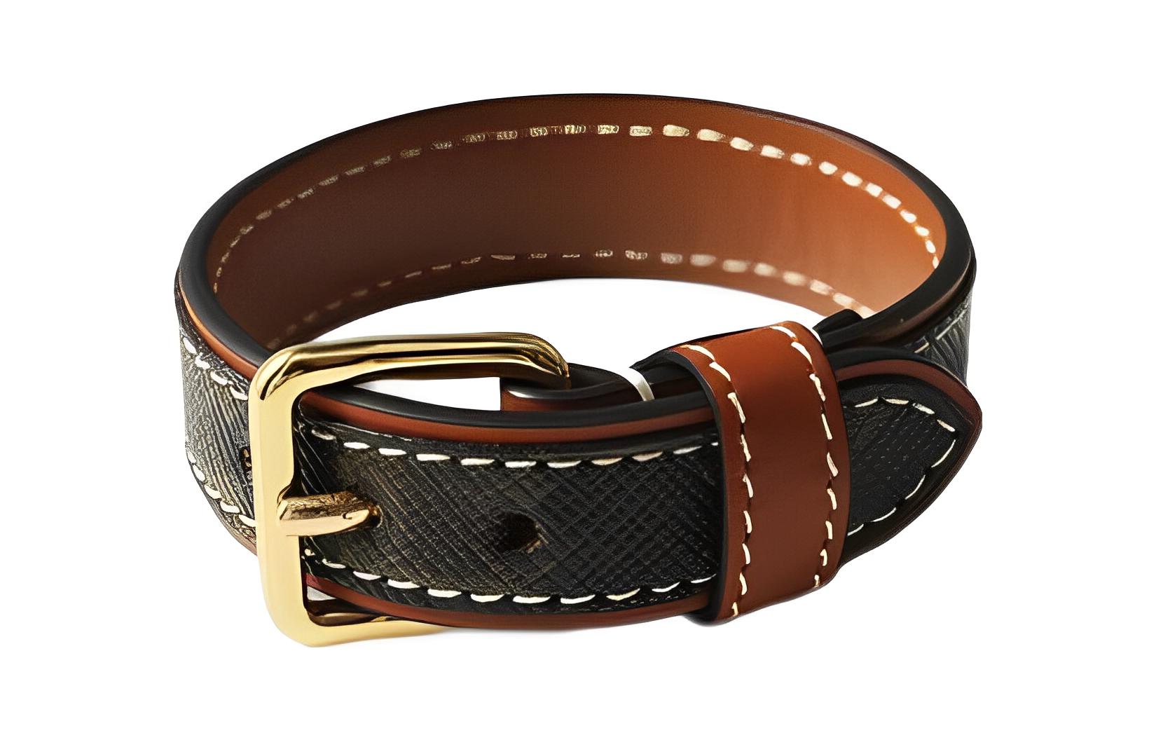 (Women) CELINE  Brown Bracelet with Letter Logo Print. 46Y403TOE-04GT 圖 3