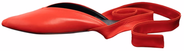 (Women) CELINE Ballerina Flat 'Red Pointed Toe' 321883LSV.27BR (Women) CELINE Ballerina Flat 'Red Pointed Toe' 321883LSV.27BR