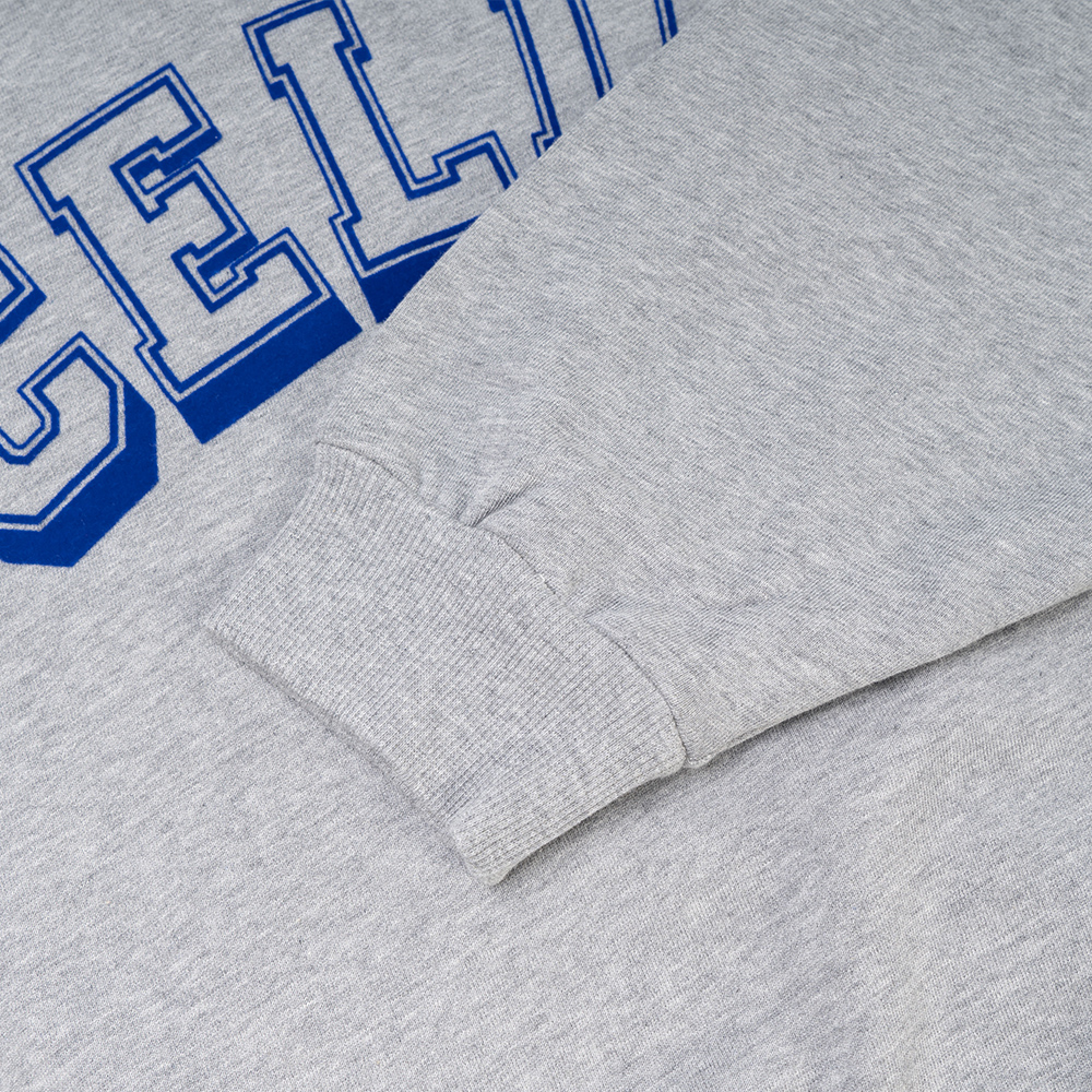 Sizing (Women) CELINE FW22  Blue Crewneck Pullover Sweatshirt with Logo Print. 2Y57A670Q-08CU