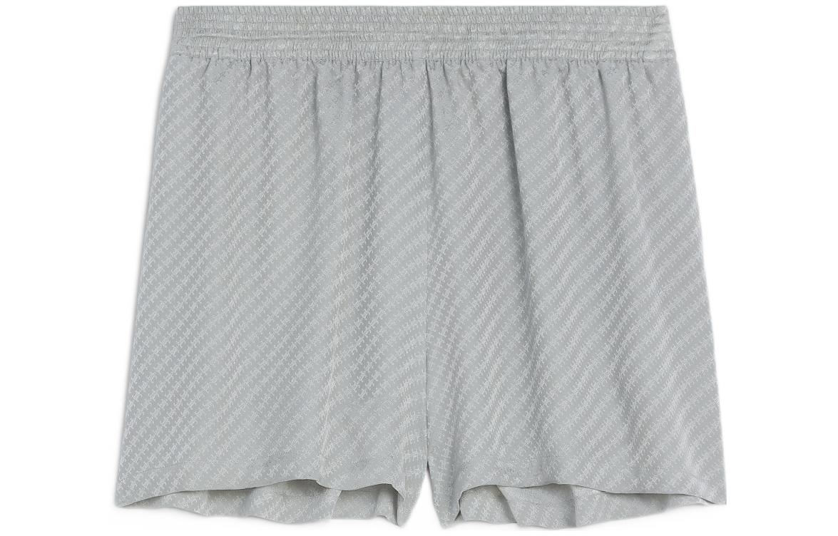 (Women) CELINE FW22  Glossy Matte Shorts Grey Blue. 2P711130R-08GJ
