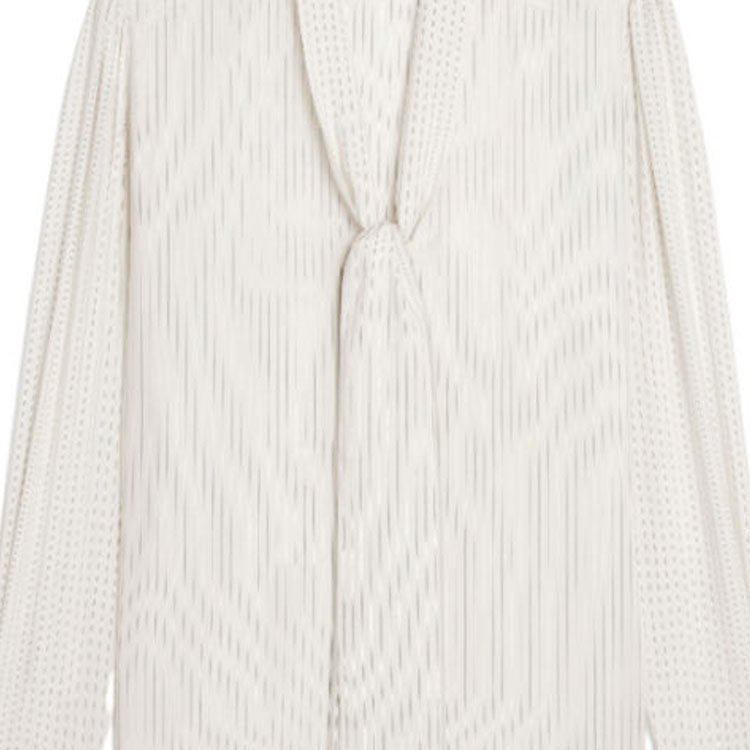 Details for (W) CAMISA LARGA RAYADA BLOQUES DE COLOR BLANCA MANGA LARGA CELINE FW23 2C988479V-98CG