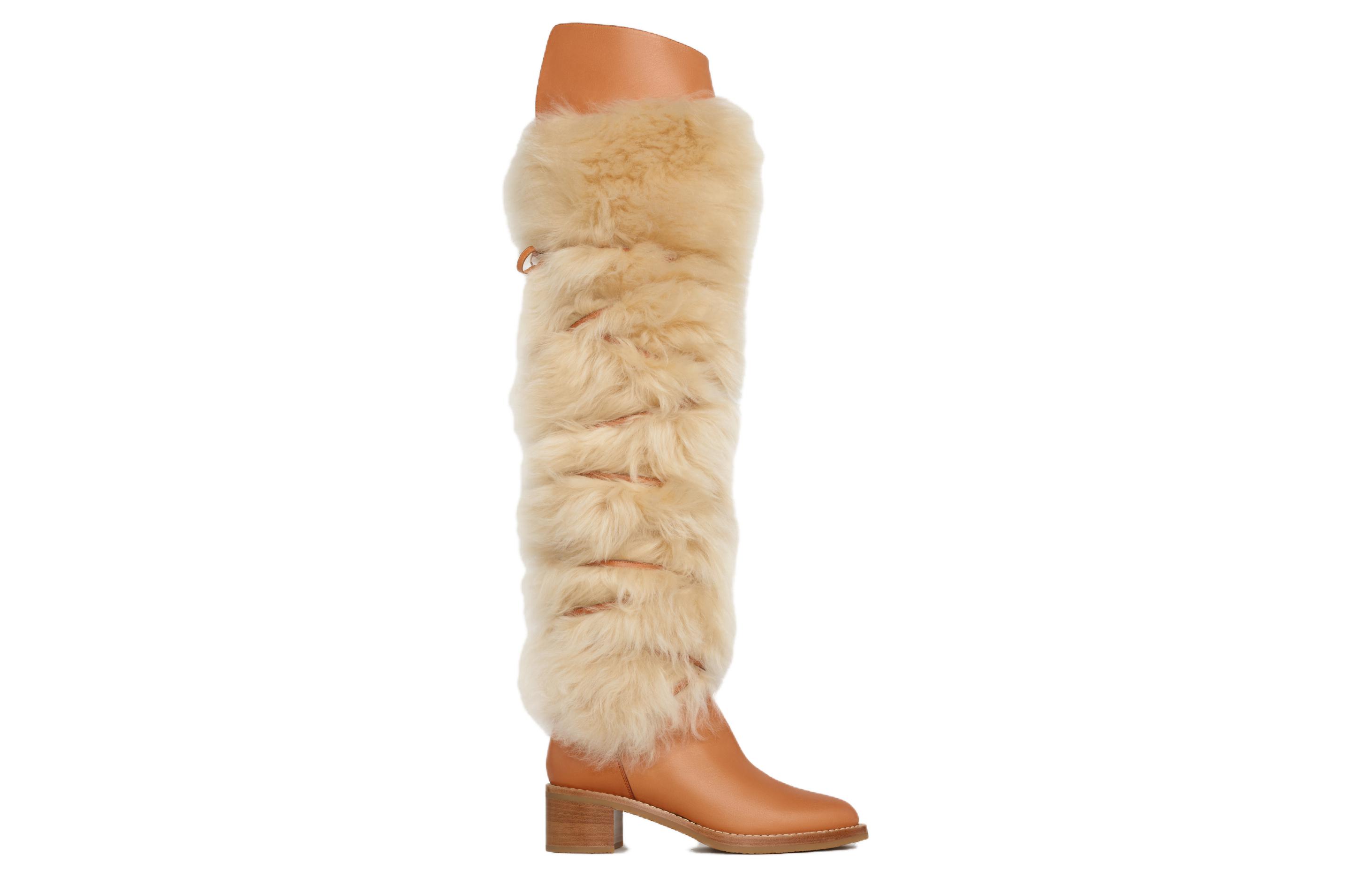 Order (Women) CELINE Leather and Shearling Tall Boots 'Tan' 340014240C.04LU