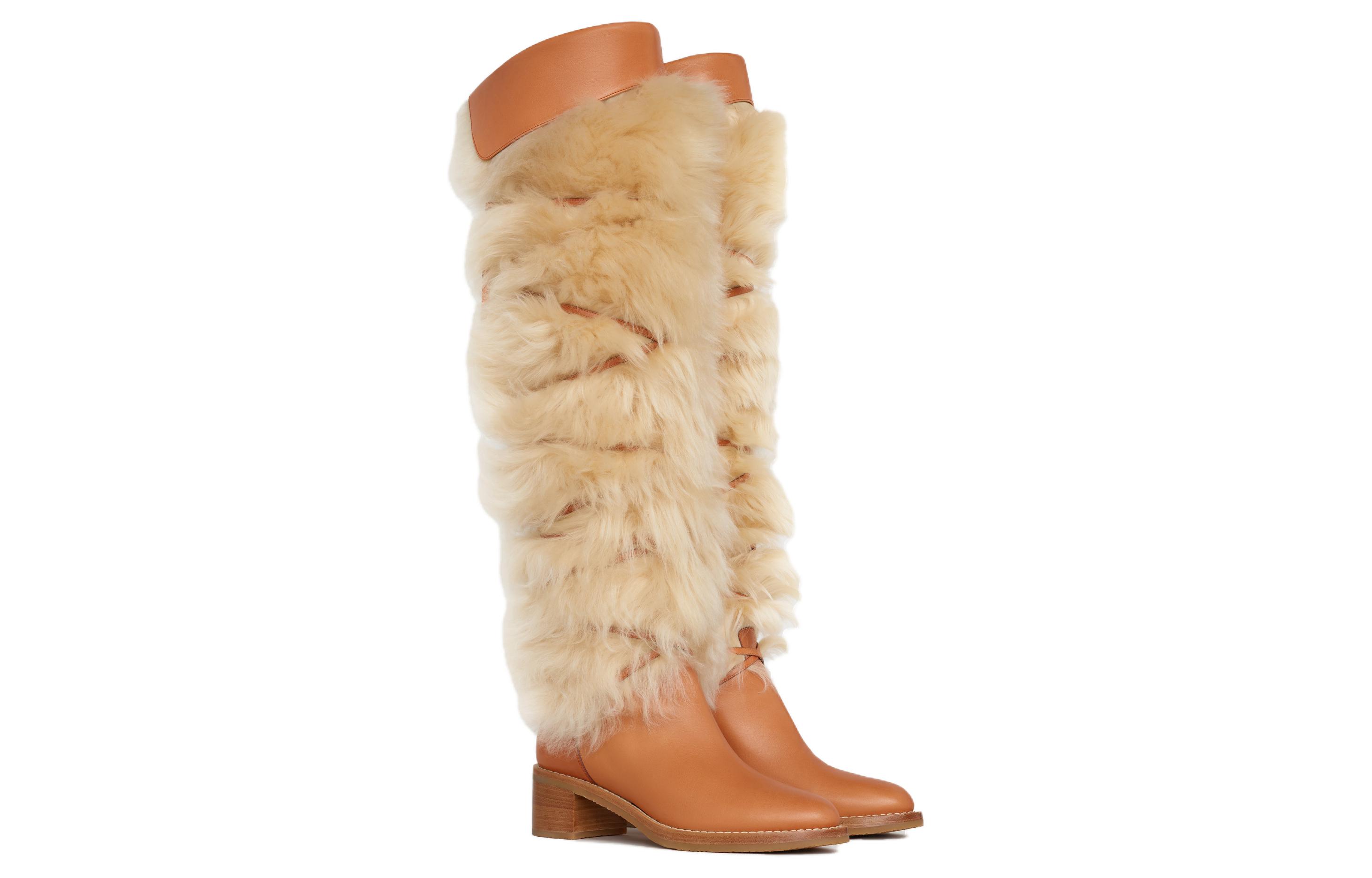 Lookbook (Women) CELINE Leather and Shearling Tall Boots 'Tan' 340014240C.04LU