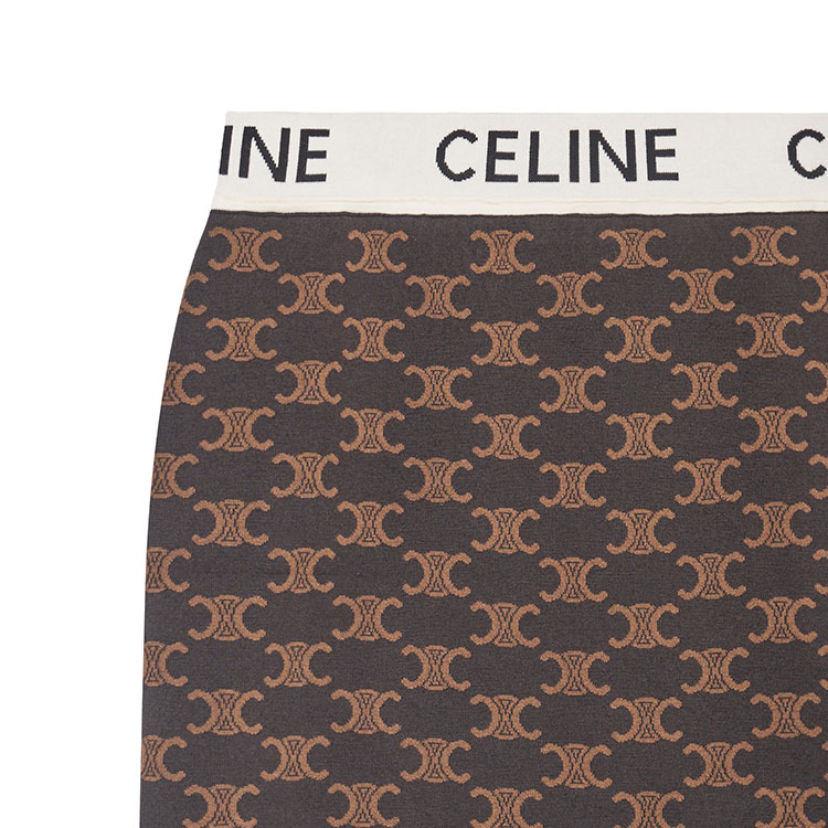 Details for (W) CELINE SS23 棕色高腰修身休閒裙 全版印花logo. 2AG04916T-19BR