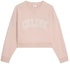 Order (W) Sudadera Oversize Rosa con Letras Estampadas para Mujer de CELINE 2Y61E670Q-24WH