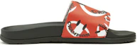 Lookbook (Women) Champion IPO SQUISH 'Green Red' CP101922W